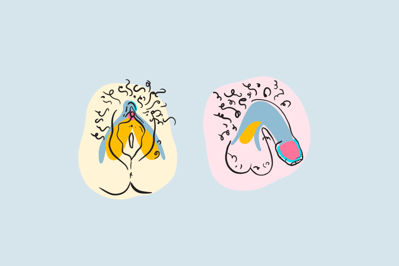 Illustrierte Vagina und illustrierter Penis zum Unterschied von Sex vs. Gender